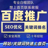 百度推广网站收录seo优化搜索引擎排名网络关键词链接推广快照