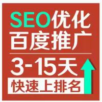 百度谷歌360搜索网站推广关键词排名seo优化推广首页外链快照收录