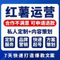 小红薯运营推广品牌内容文案营销策划xhs书笔记起号店铺托管服务