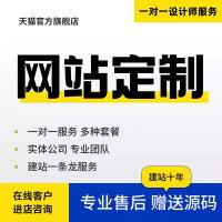 网站定制公司企业网站制作网页设计商城建设搭建外贸公司网站开发